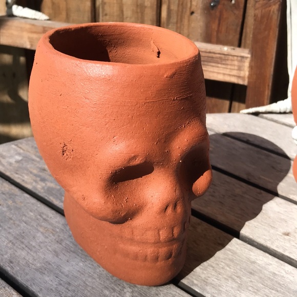 West Elm Spooky and Unique Handcrafted Terracotta Skull Vases - Set of 2 💀 - Picture 12 of 17